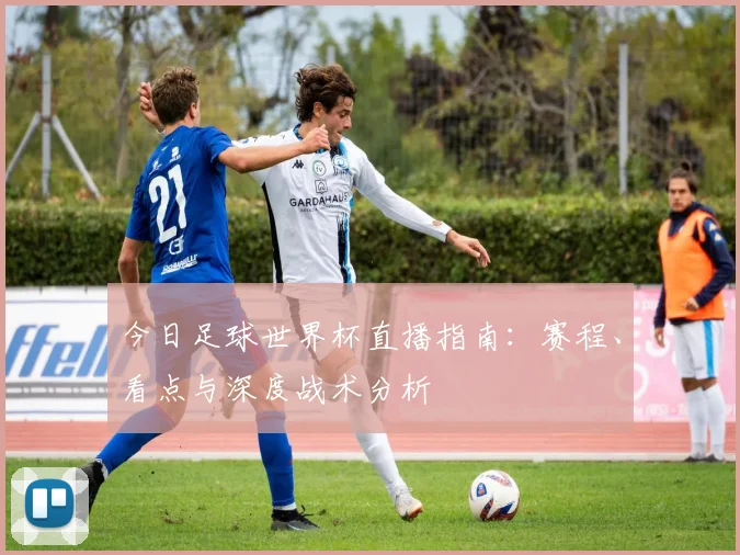 今日足球世界杯直播指南：赛程、看点与深度战术分析