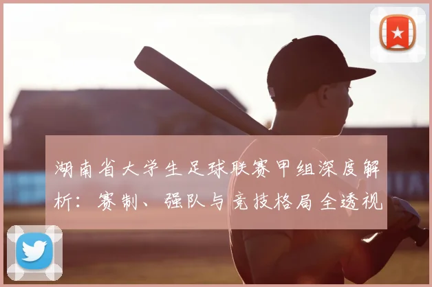 湖南省大学生足球联赛甲组深度解析：赛制、强队与竞技格局全透视