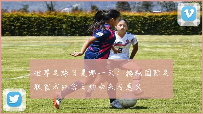 世界足球日是哪一天？揭秘国际足联官方纪念日的由来与意义