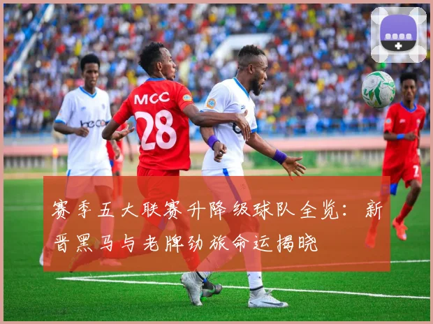赛季五大联赛升降级球队全览：新晋黑马与老牌劲旅命运揭晓